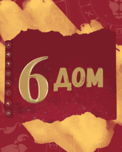 6 dom